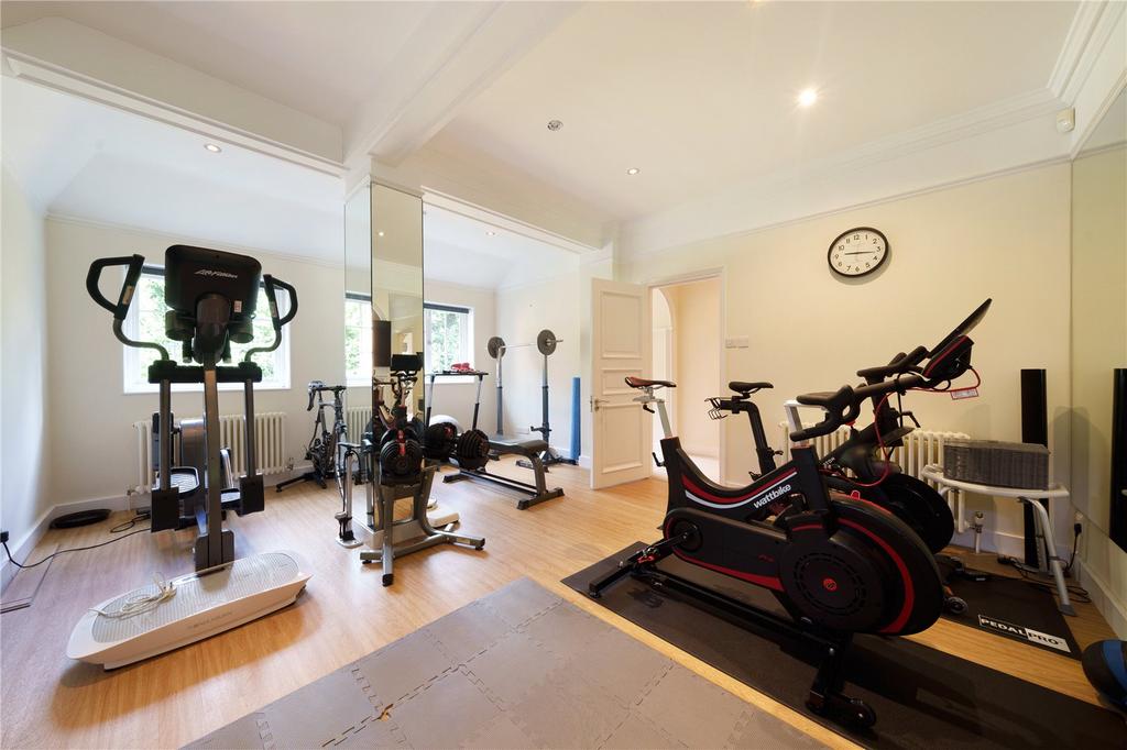 Gymnasium