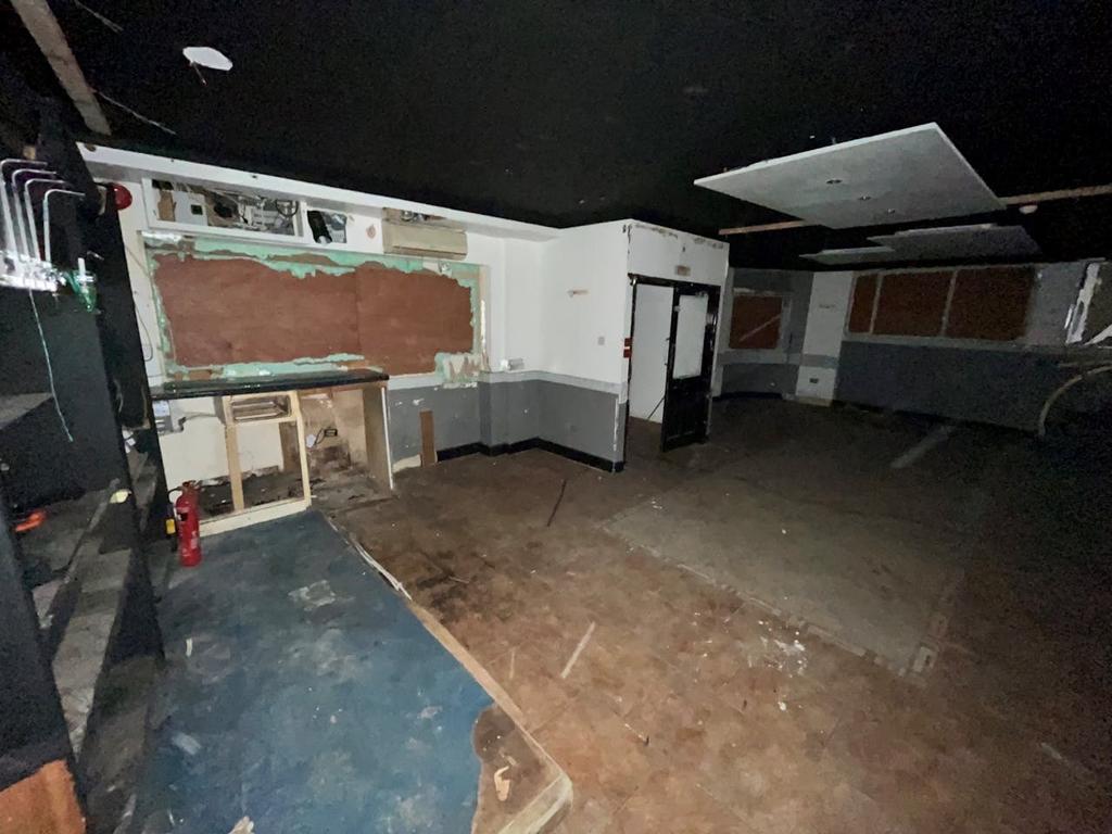 IMG1.jpg