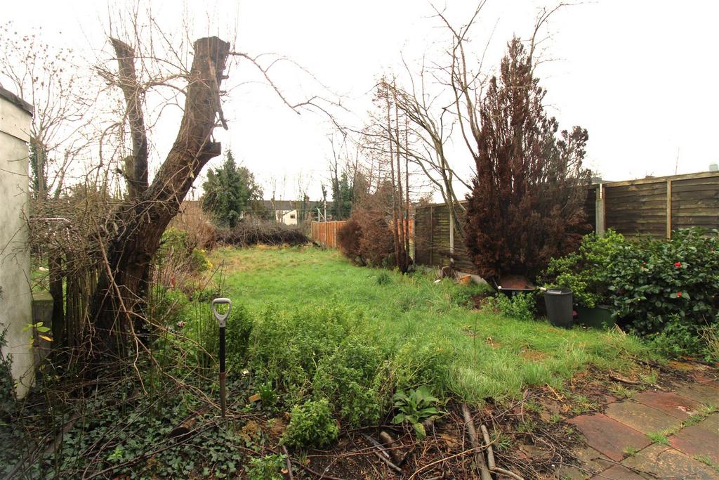 Garden.JPG