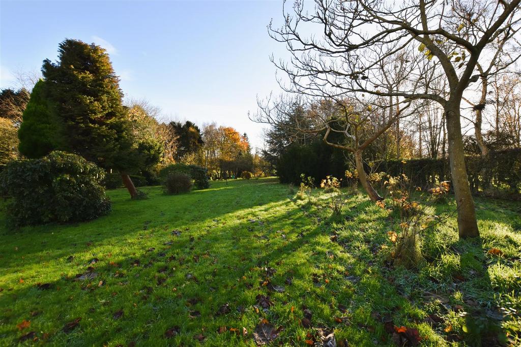Raer Garden - Image Three.JPG