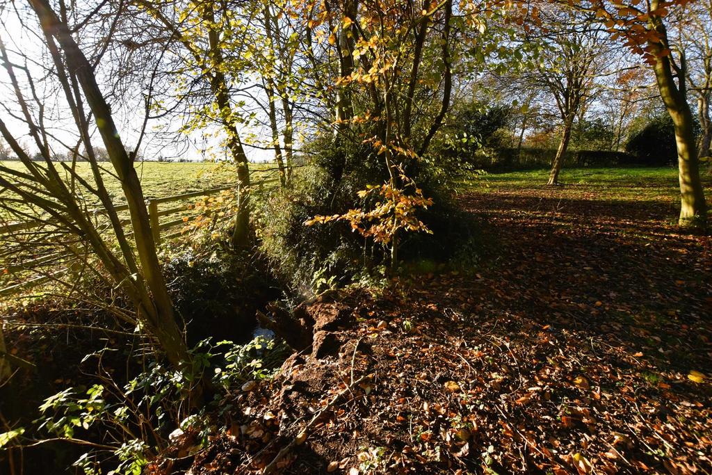 Rear Garden - Image Three.JPG