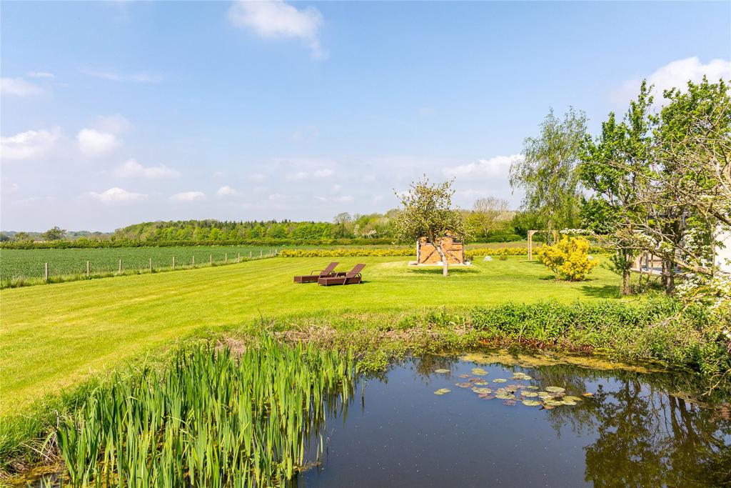 Pond and Garden