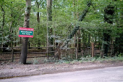 Woodland for sale, Pluckley Road, Smarden TN27