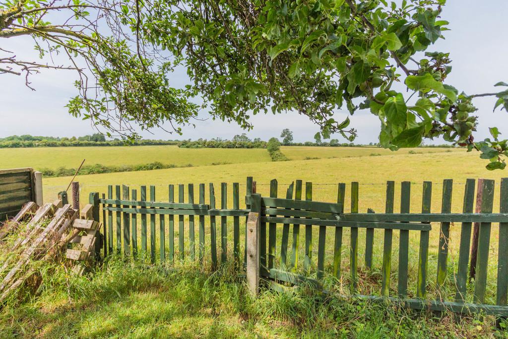 Views over field