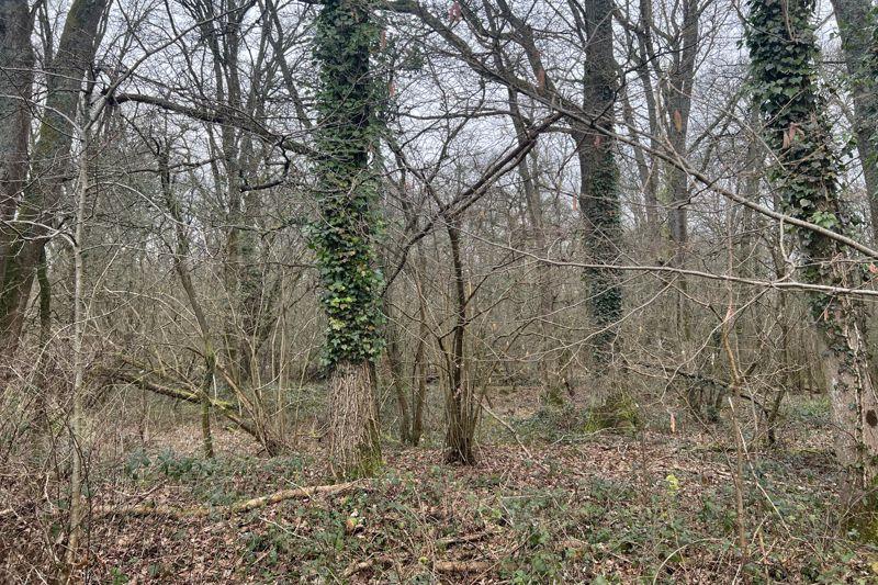 Grafham, Bramley, Guildford Land for sale £200,000