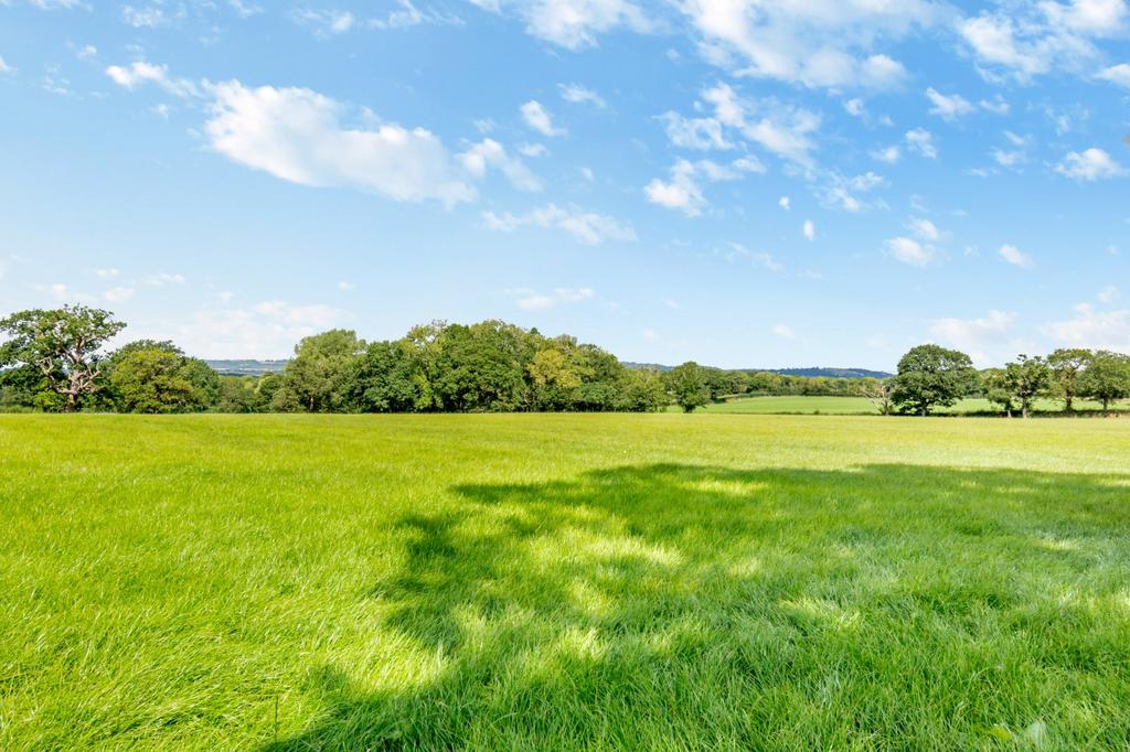 Grounds