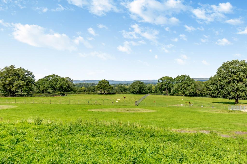Grounds