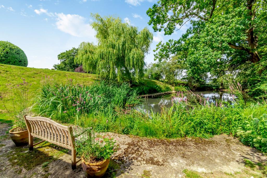 Pond