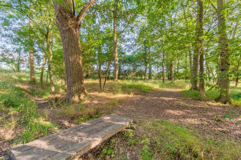 Woodland