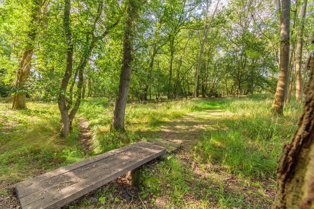 Woodland