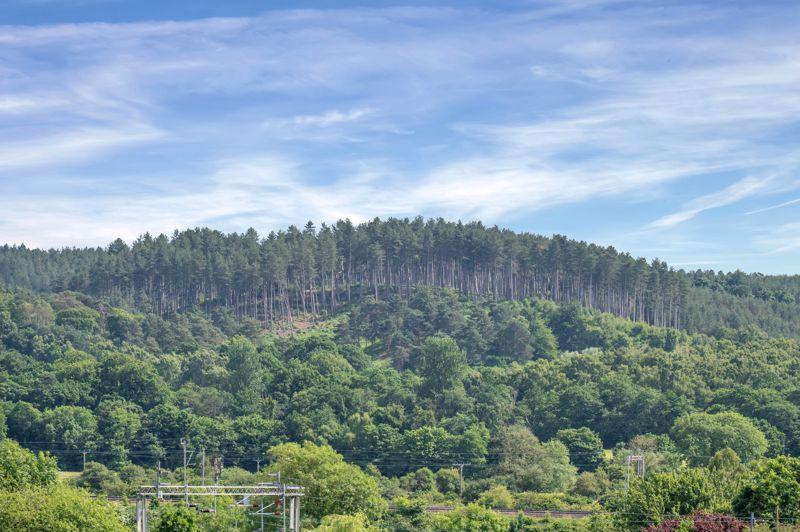 Cannock Chase Views