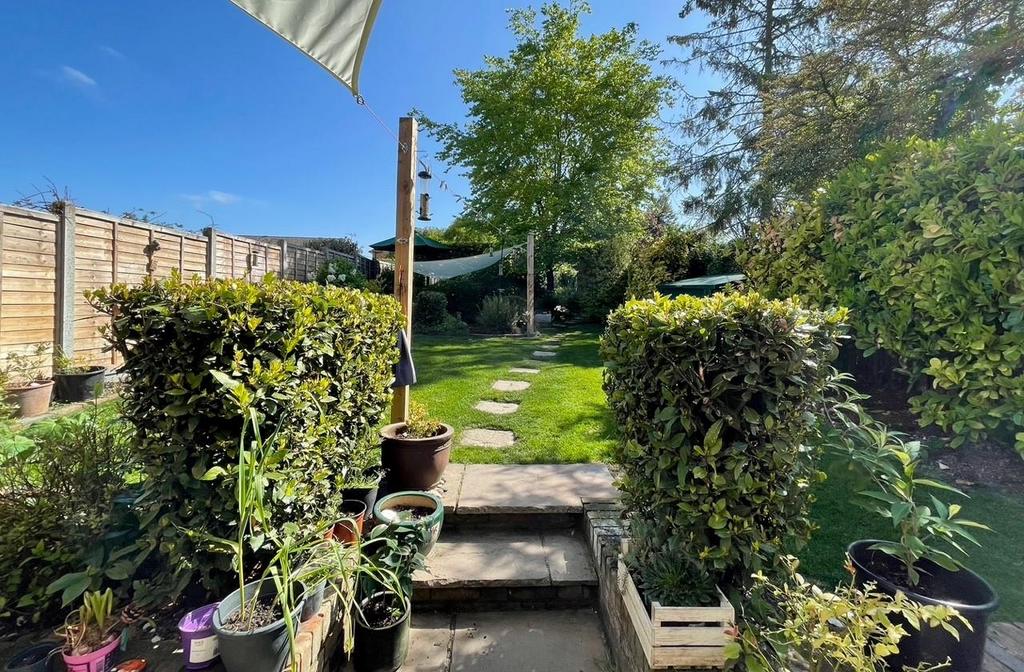 Garden pic 3.jpg