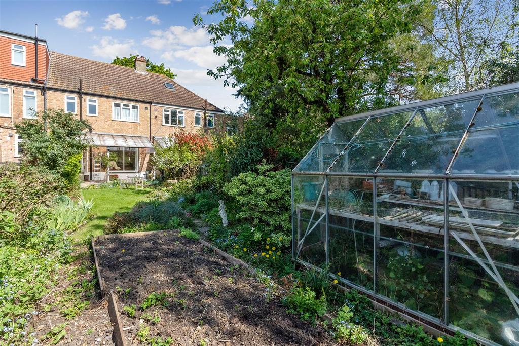 South West Facing Garden