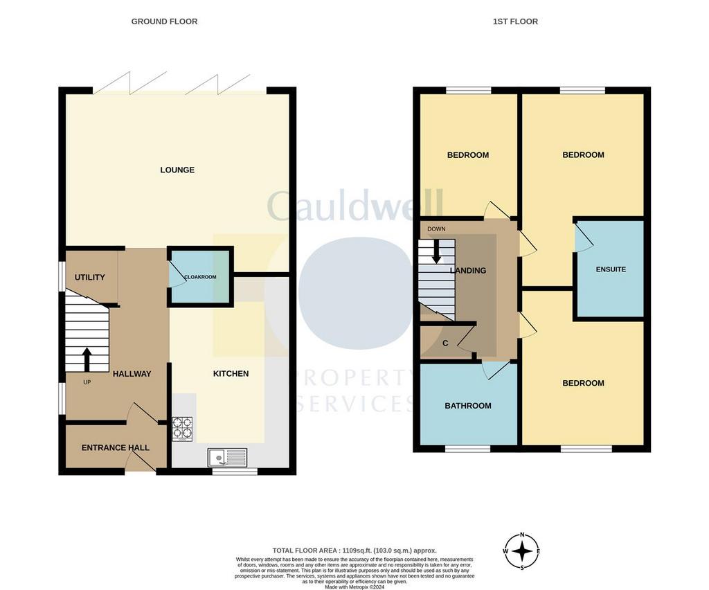 35 Bwalnutclose-High.jpg
