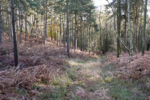 Land for sale, Land at Pasture Wood Road, Holmbury St. Mary, Dorking, Surrey, RH5 6ND