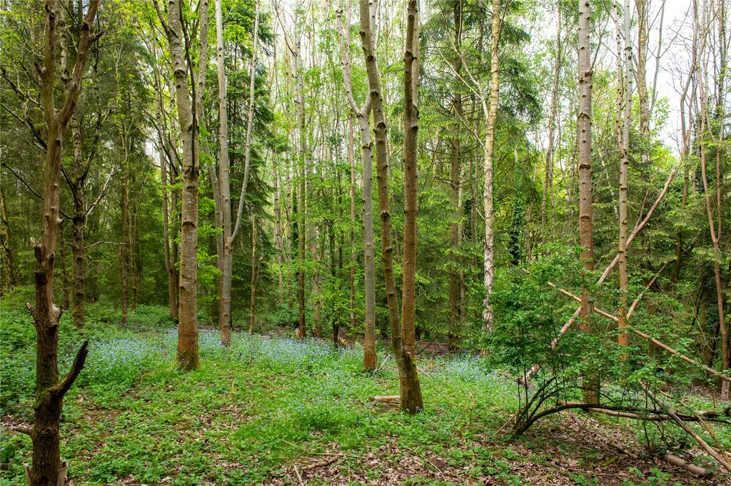 Woodland