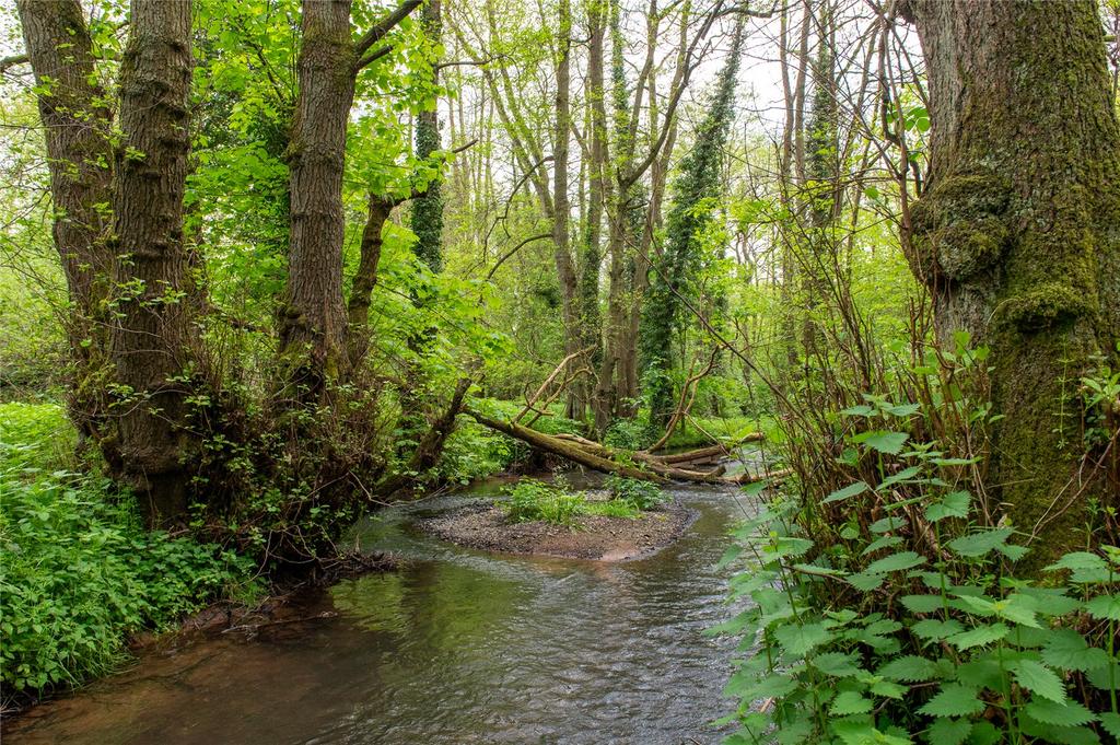 Woodland and Lake
