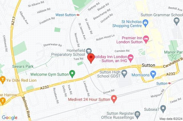 Google Maps Image