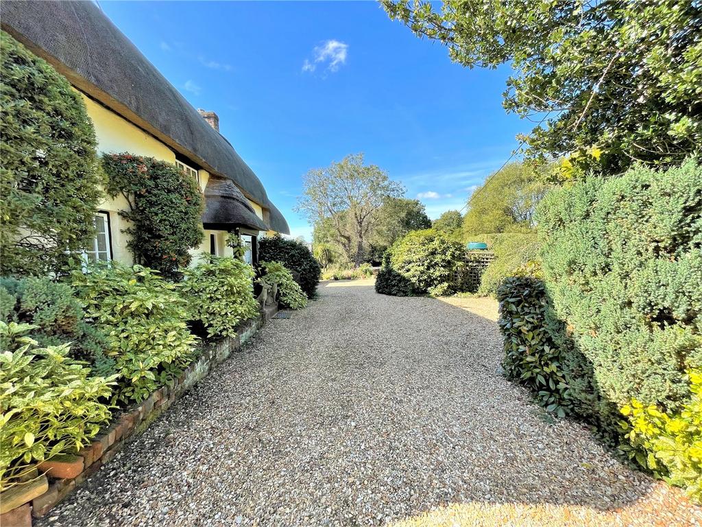 Driveway