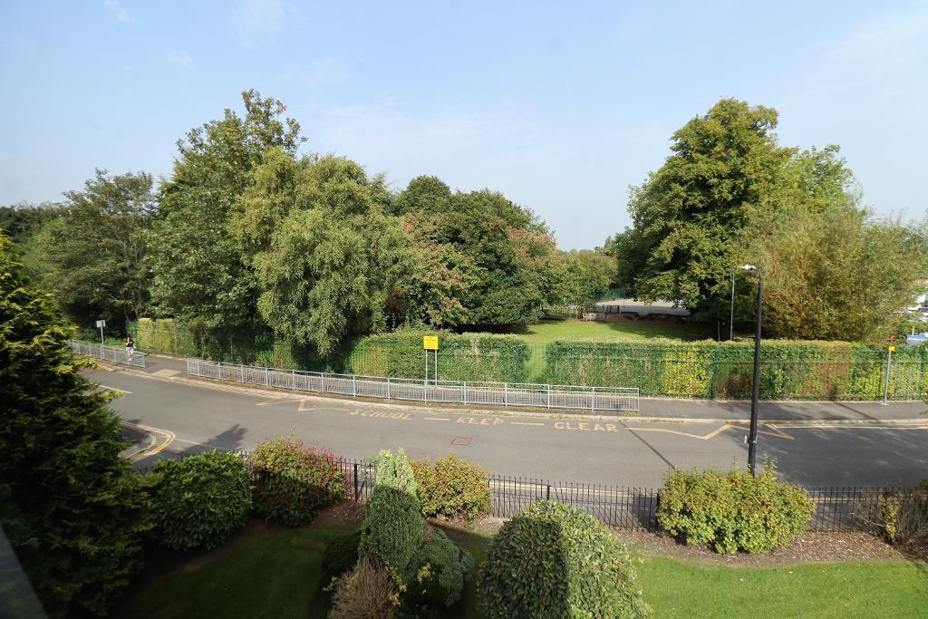 View from Kitchen