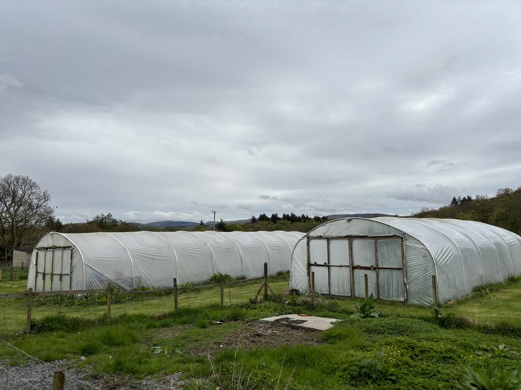 Vegetable garden