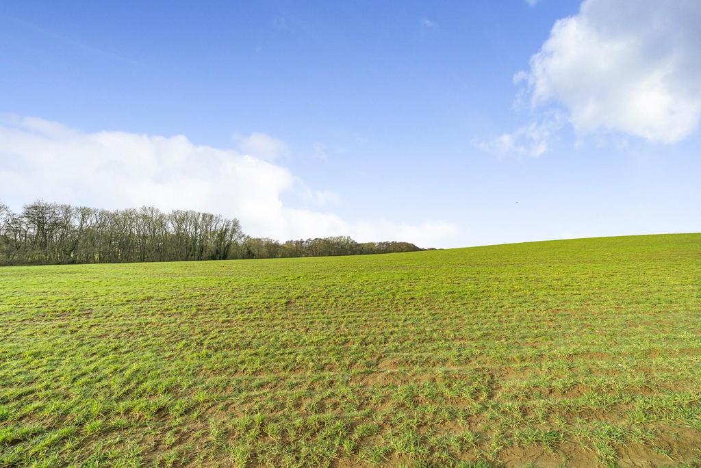 COUNTRYSIDE VIEW.jpg