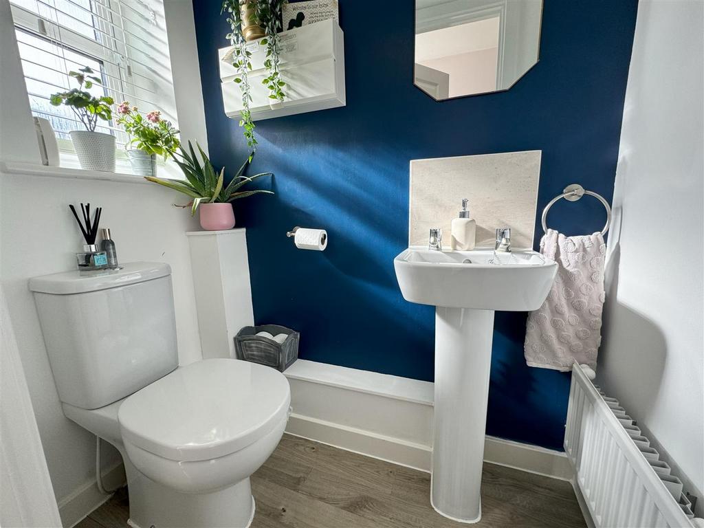 NEW DS LOO.jpg