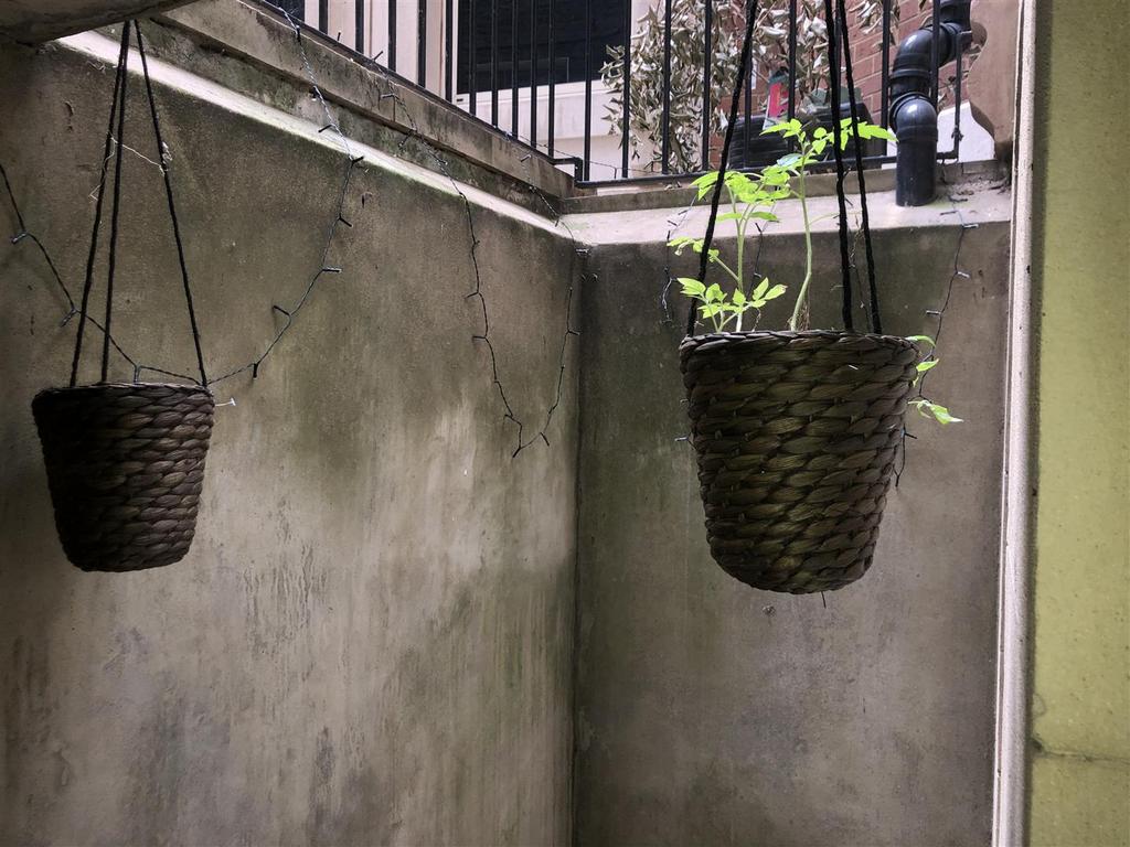 Courtyard.jpg