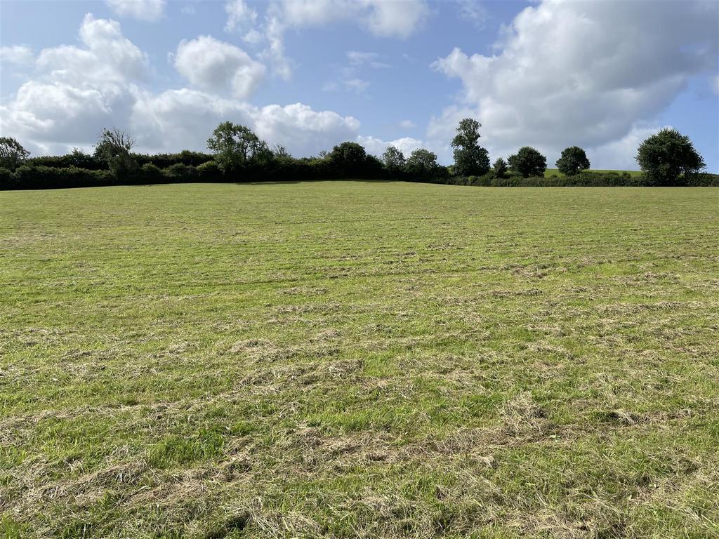 Land