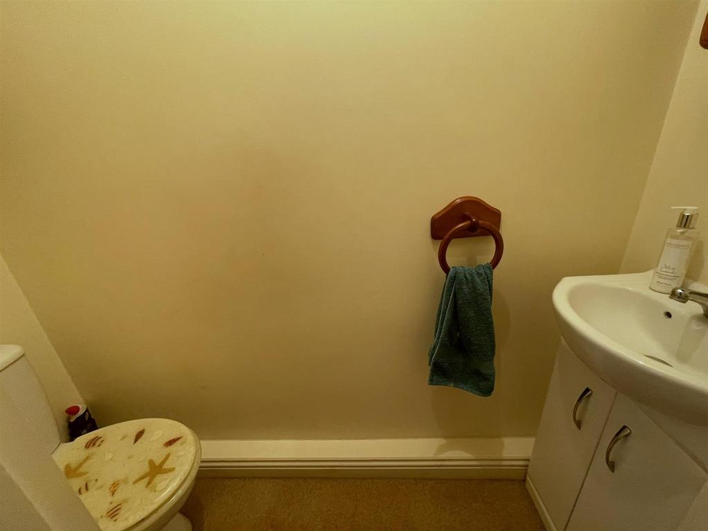 Img 1446.jpeg