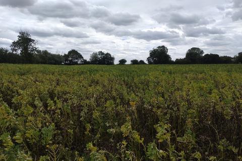 Land for sale - Clay Hall Lane, Diss IP22