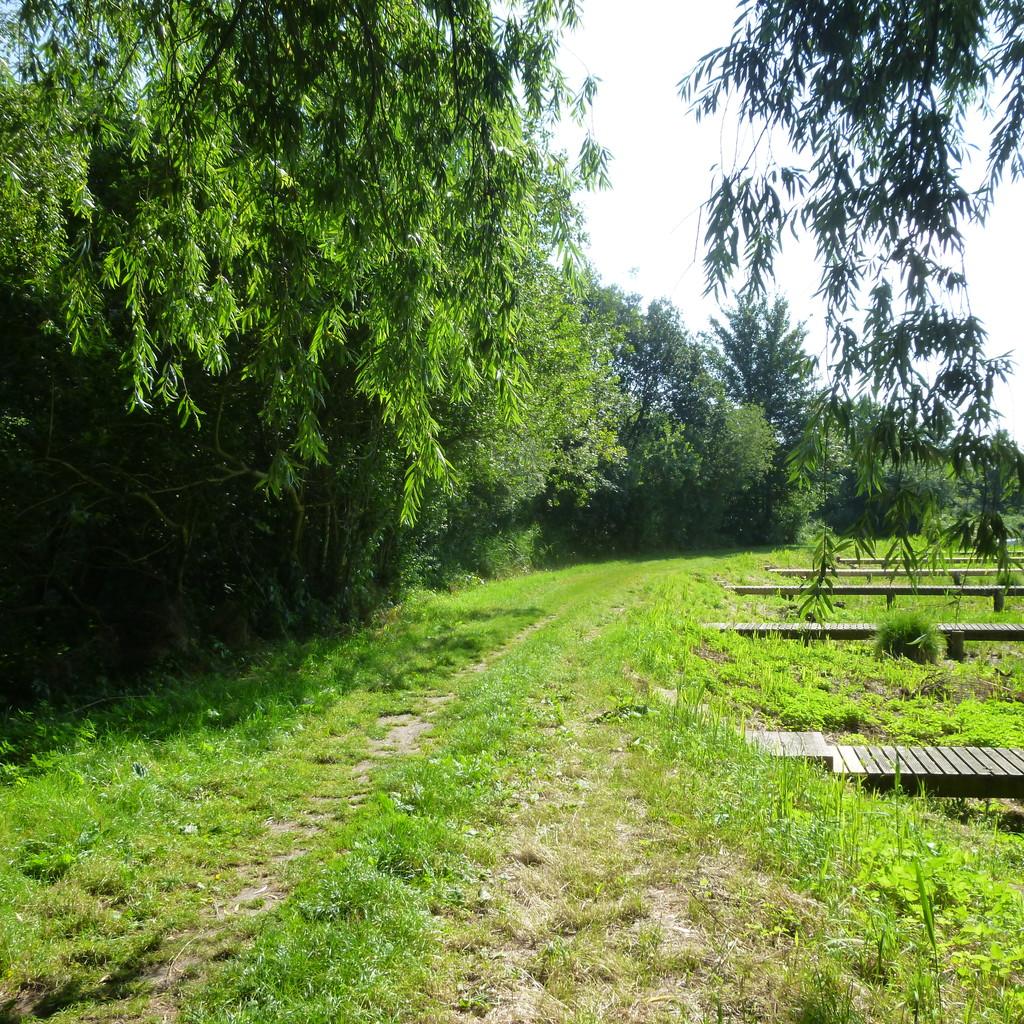 Beccles NR34 Land for sale £45,000
