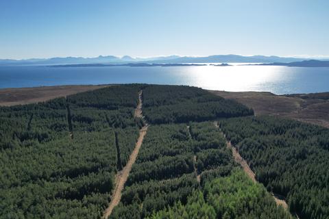 Woodland for sale, Tote Forest, Near Portree, Isle of Skye IV51