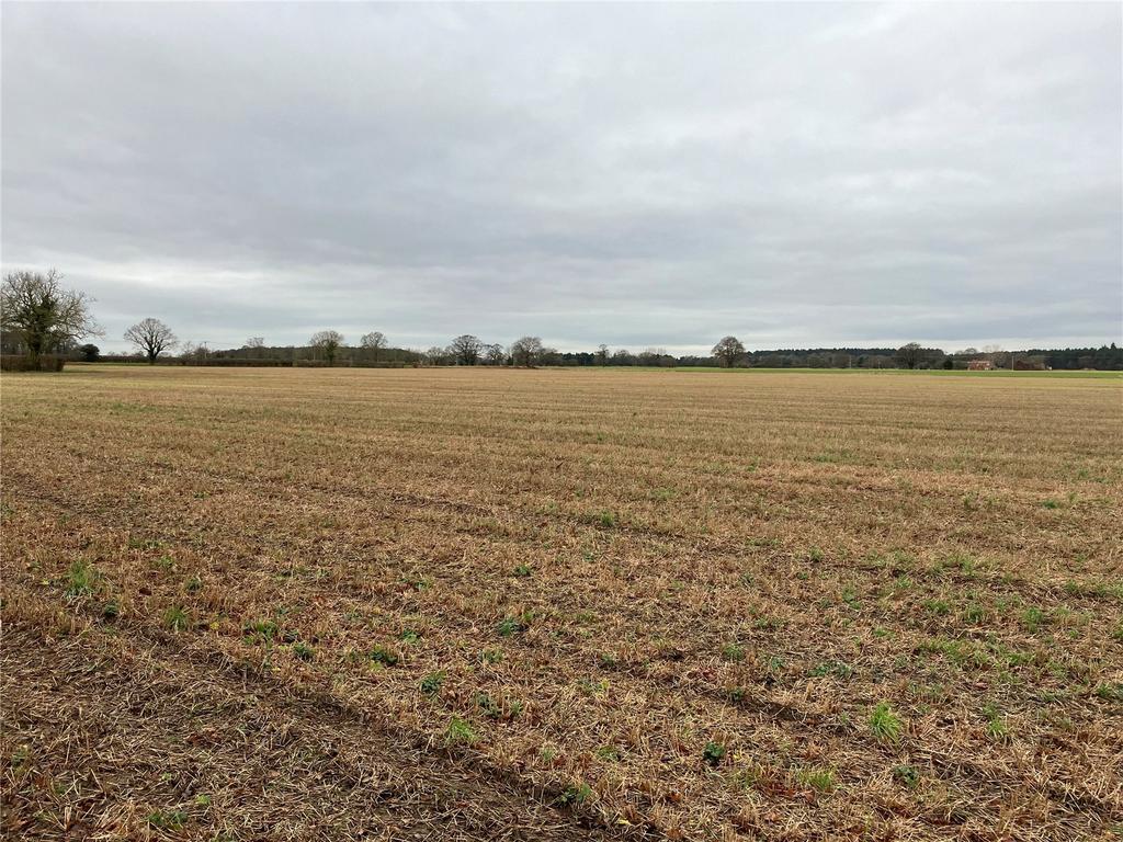 Land At Wheldrake, Crockey Hill, York, North Yorkshire, YO19 Land for