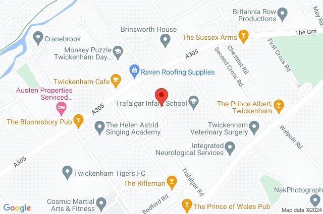Google Maps Image