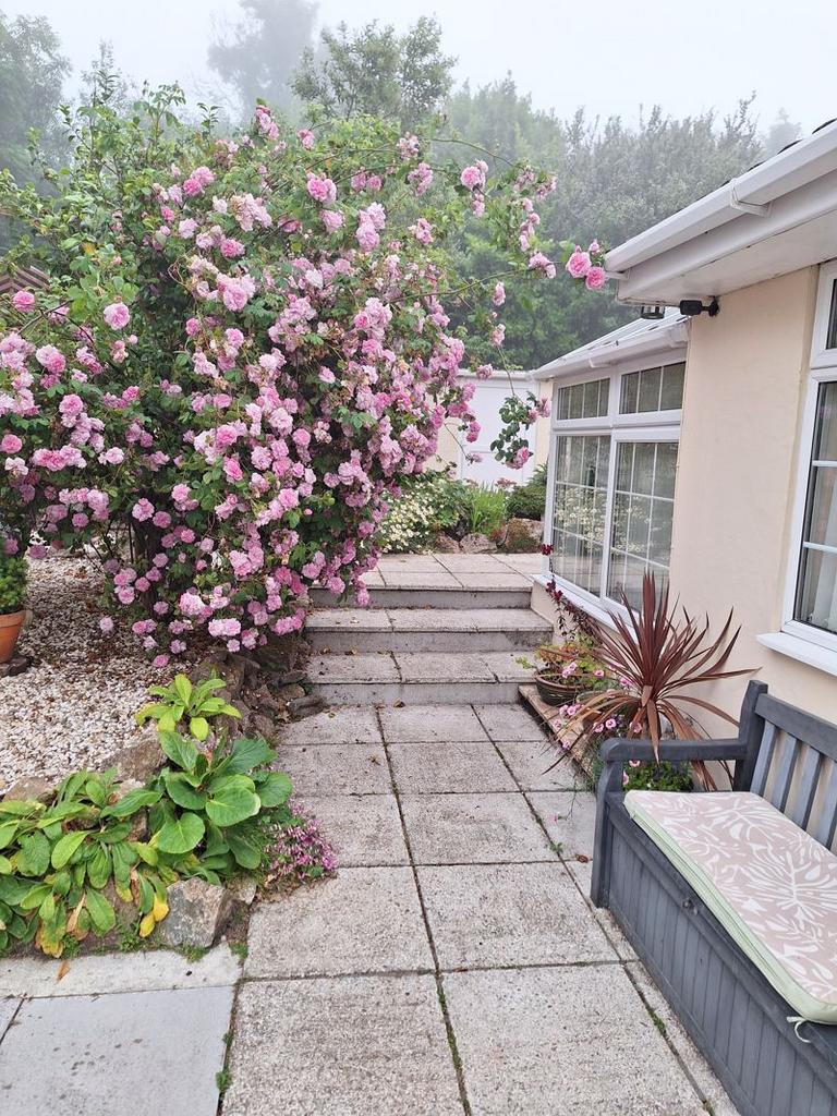 Bottom patio