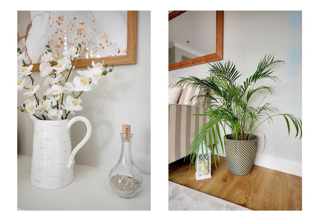 104 Manor Rd Lifestyle.png