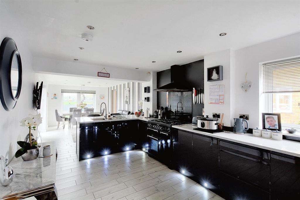 Dining/Living Kitchen