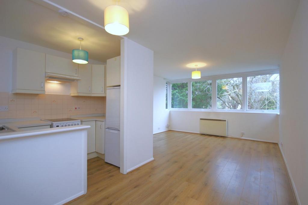 Spacious one bedroom flat to rent