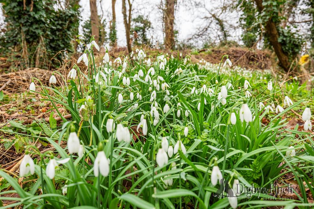 137 West Street, Helpston-8watermarked.jpg