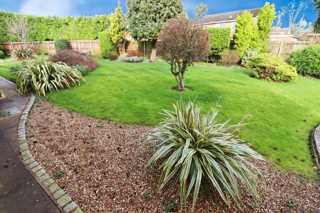 Img 1586.jpg