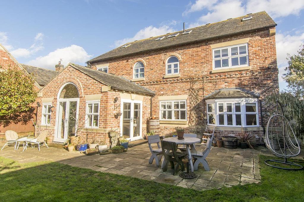 Rear Aspect