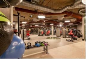 Gym.jpg