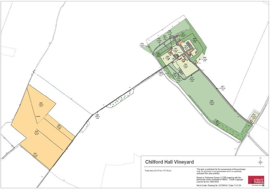 Picture No. 17