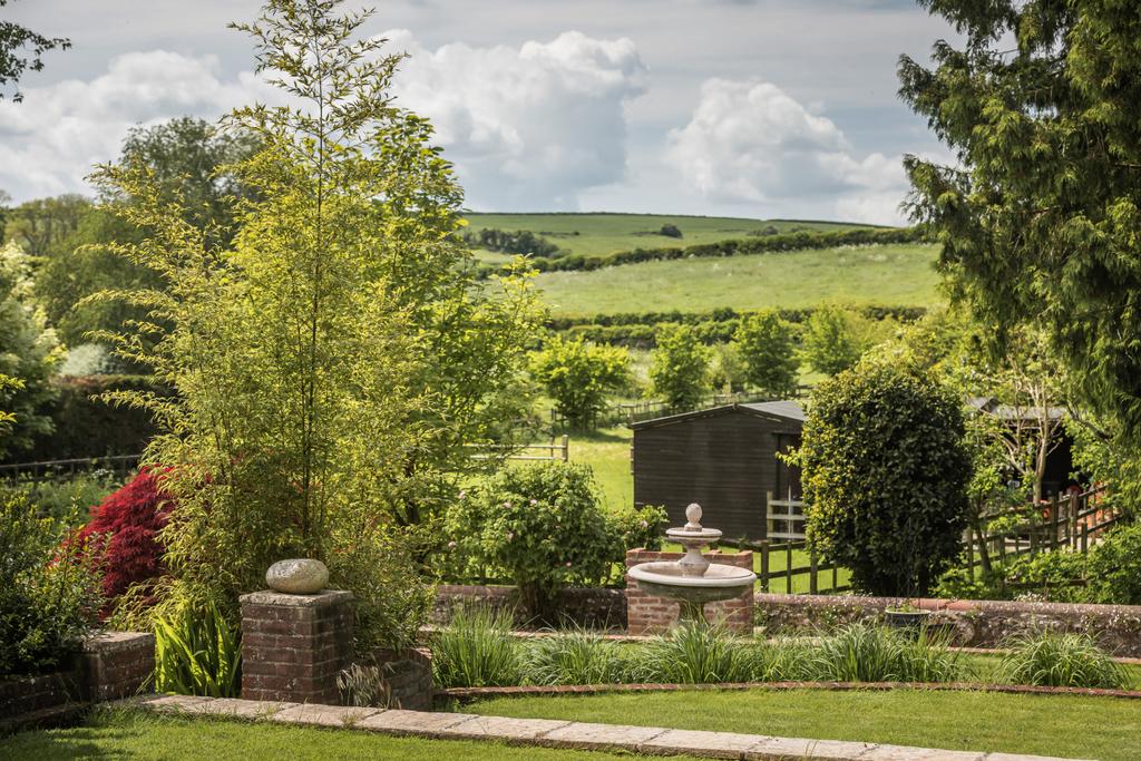 Garden and View