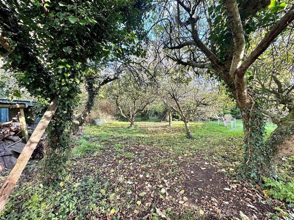 Orchard.jpg
