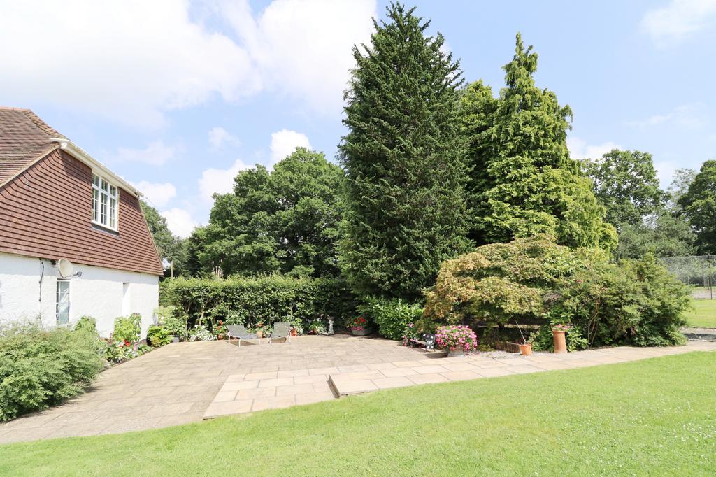 Driveway view