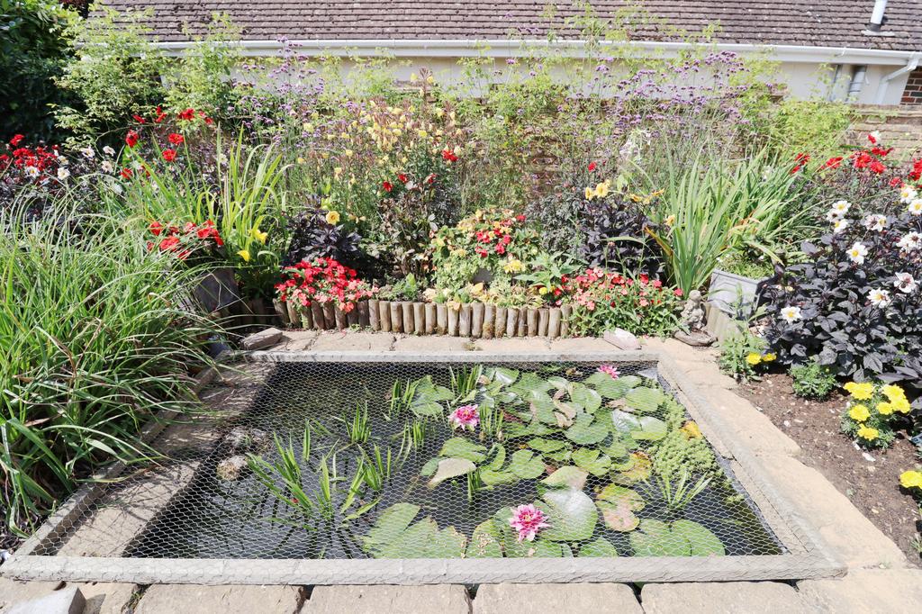 Garden view, garden