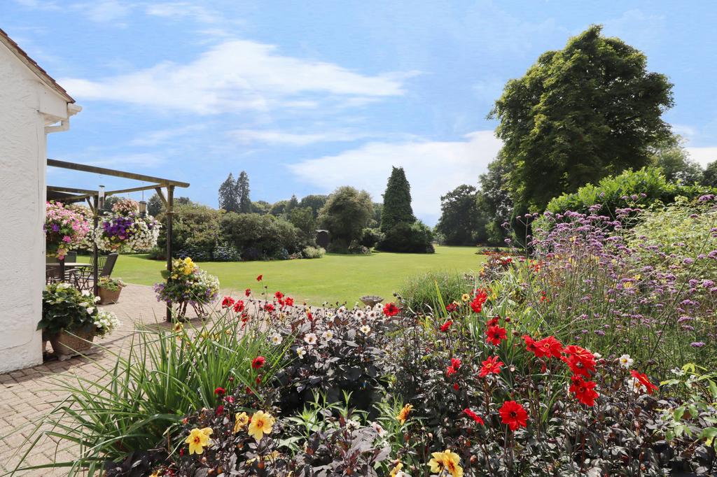 Garden view, garden