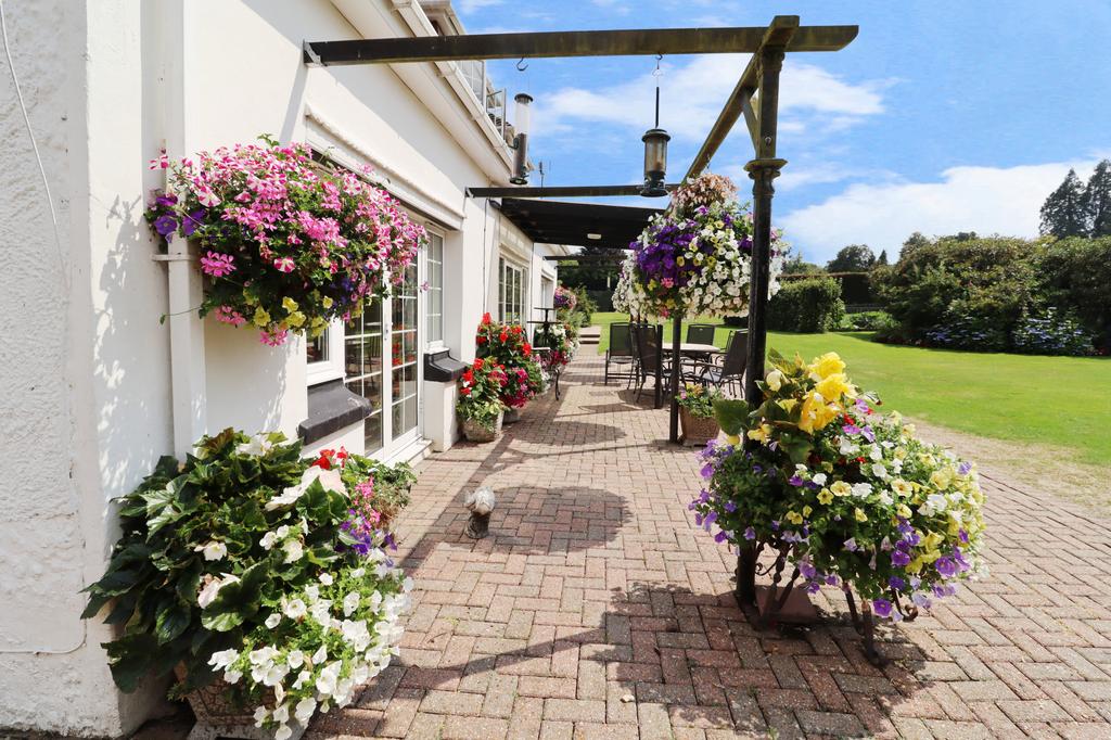 Patio view, garden